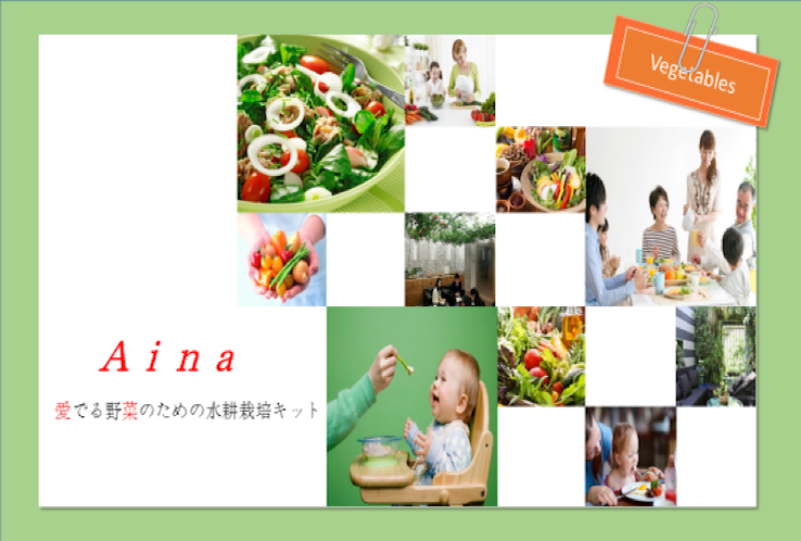 Aina HP